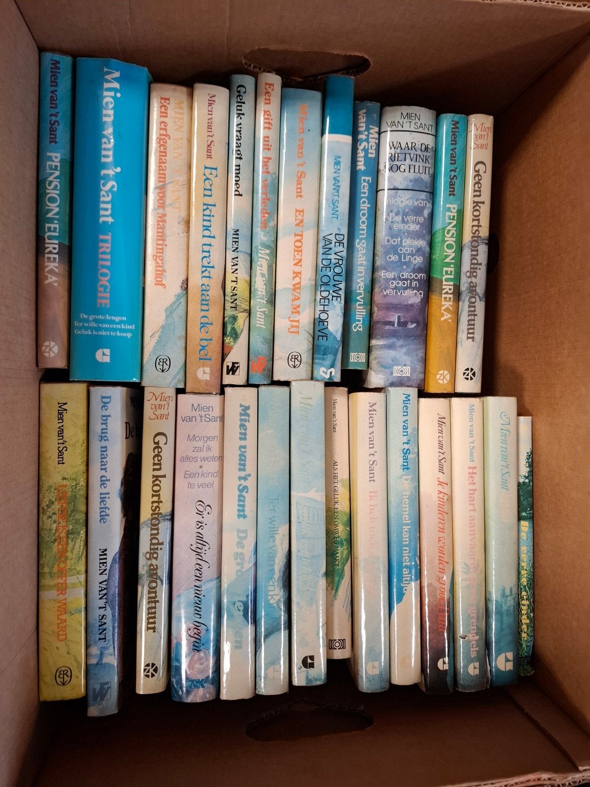 26 Mien van 't Sant boeken - Diverse titels (doos 14), Ophalen of Verzenden, Zo goed als nieuw, Mien van 't Sant, Nederland