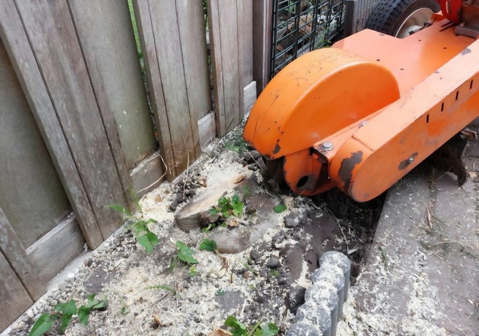 Boom of boomstronk laten verwijderen? Wij helpen snel, Tuin en Terras, Ophalen