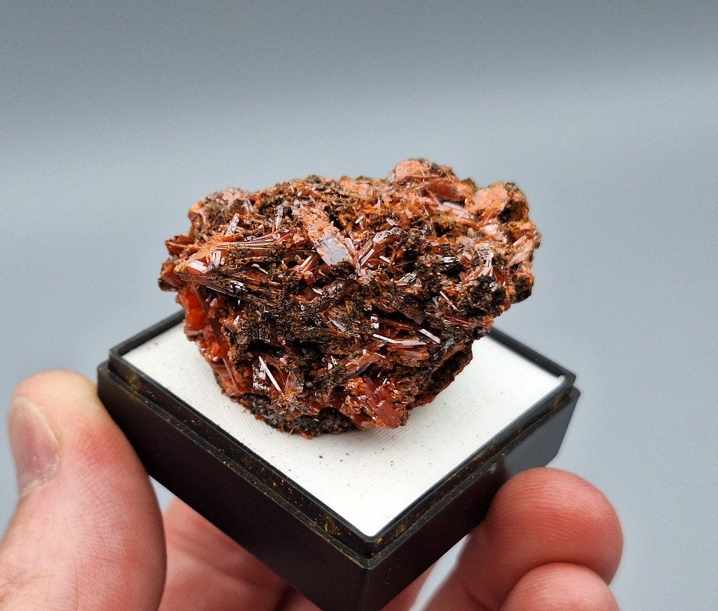 Krokoiet - Red Lead Mine, Tasmanië, Australië, Ophalen of Verzenden, Mineraal