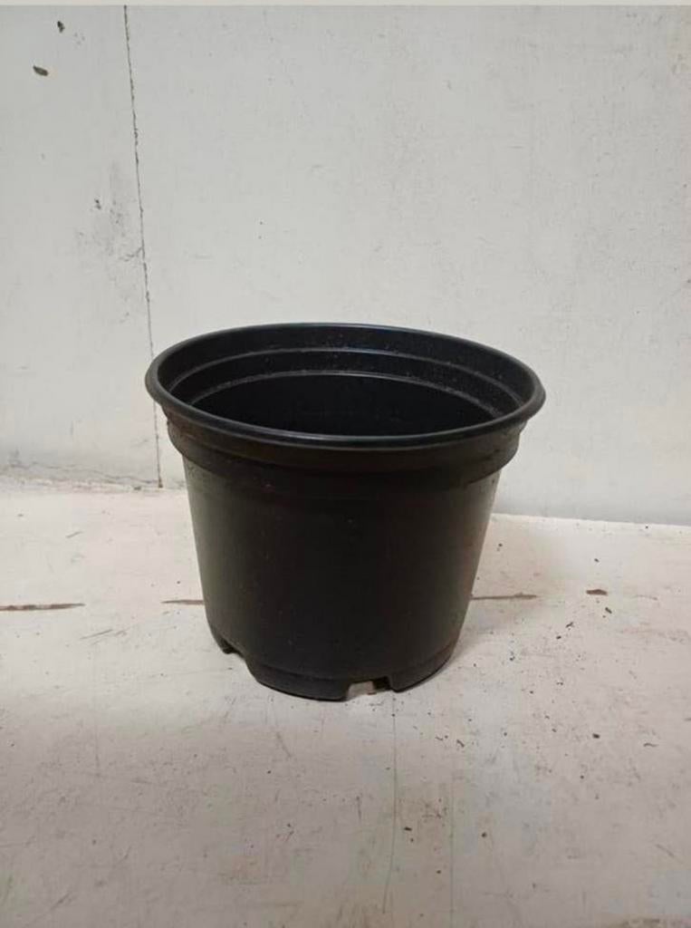 Kweekpotten plantenpotten bloempotten 2 liter, Kunststof, Gebruikt, Rond, Ophalen of Verzenden