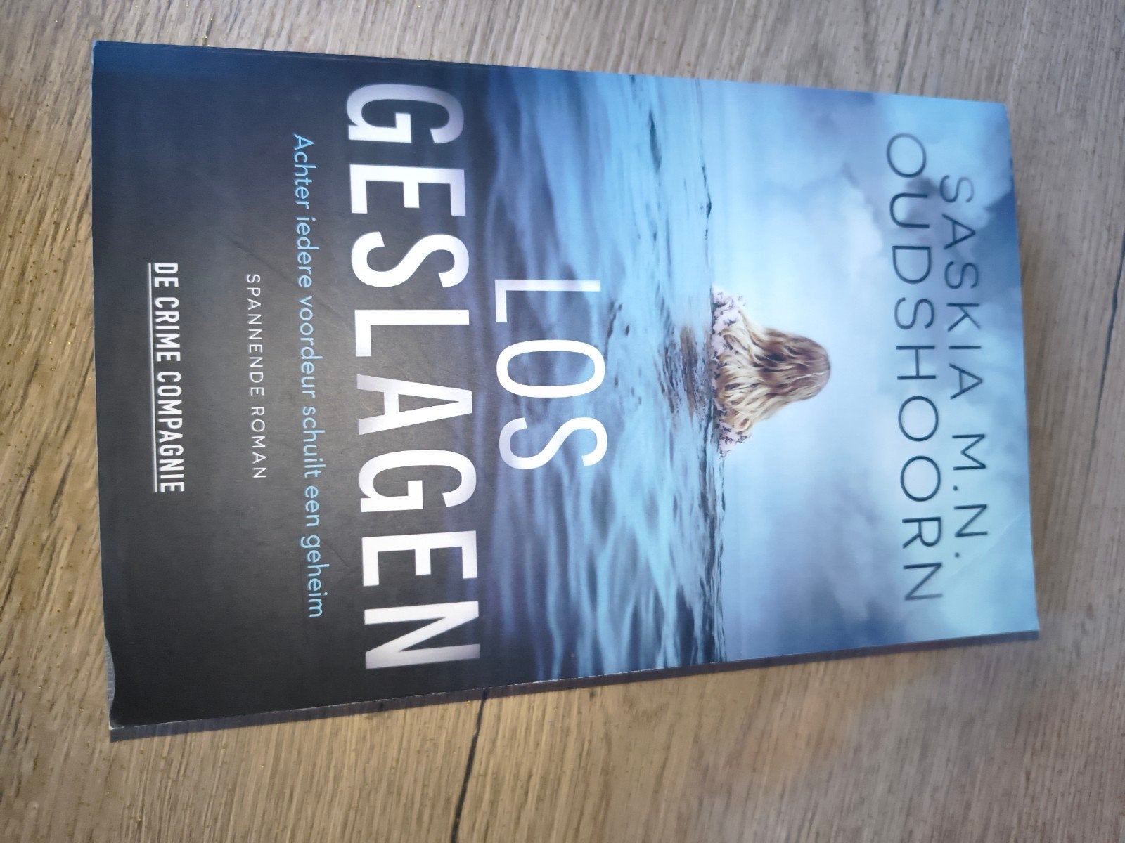 Losgeslagen - Saskia M.N. Oudshoorn (Spannende roman), Ophalen of Verzenden, Zo goed als nieuw, Saskia M.N. Oudshoorn, Nederland