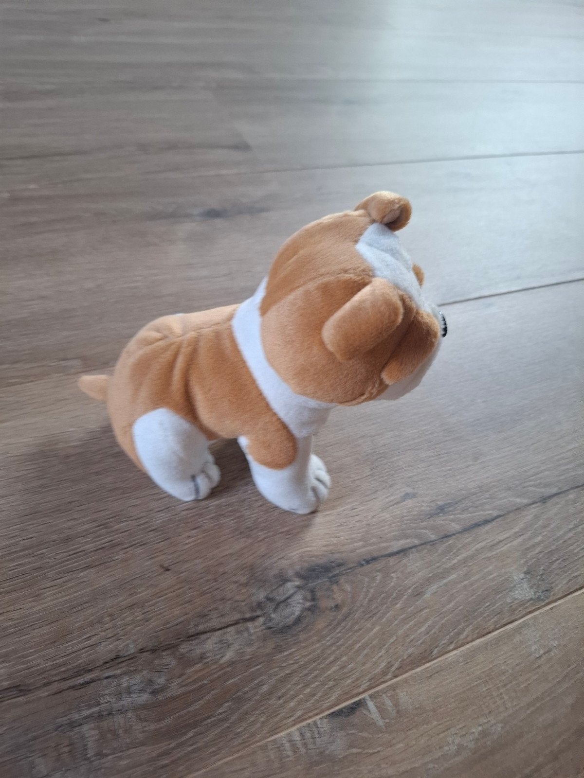 Leuke knuffel hond, bruin met wit, Ophalen, Overige merken, Overige karakters, Hond