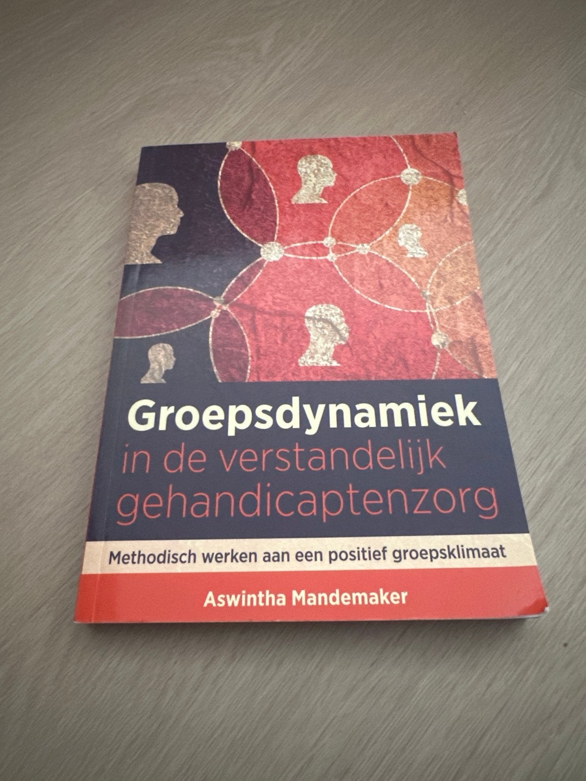 Groepsdynamiek in de verstandelijk gehandicaptenzorg, Ophalen of Verzenden, Gamma, Zo goed als nieuw, MBO