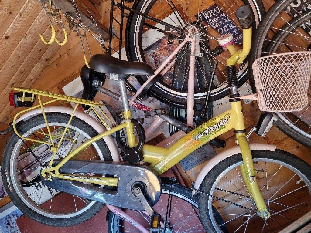 Fiets meisje alpina 20 inch, Ophalen of Verzenden, Gebruikt, Terugtraprem, 20 inch of meer