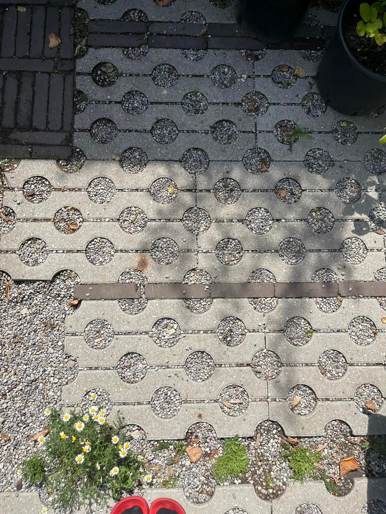 Ongeveer 10m2 grasbetontegels, Ophalen, Zo goed als nieuw, Beton, Klinkers