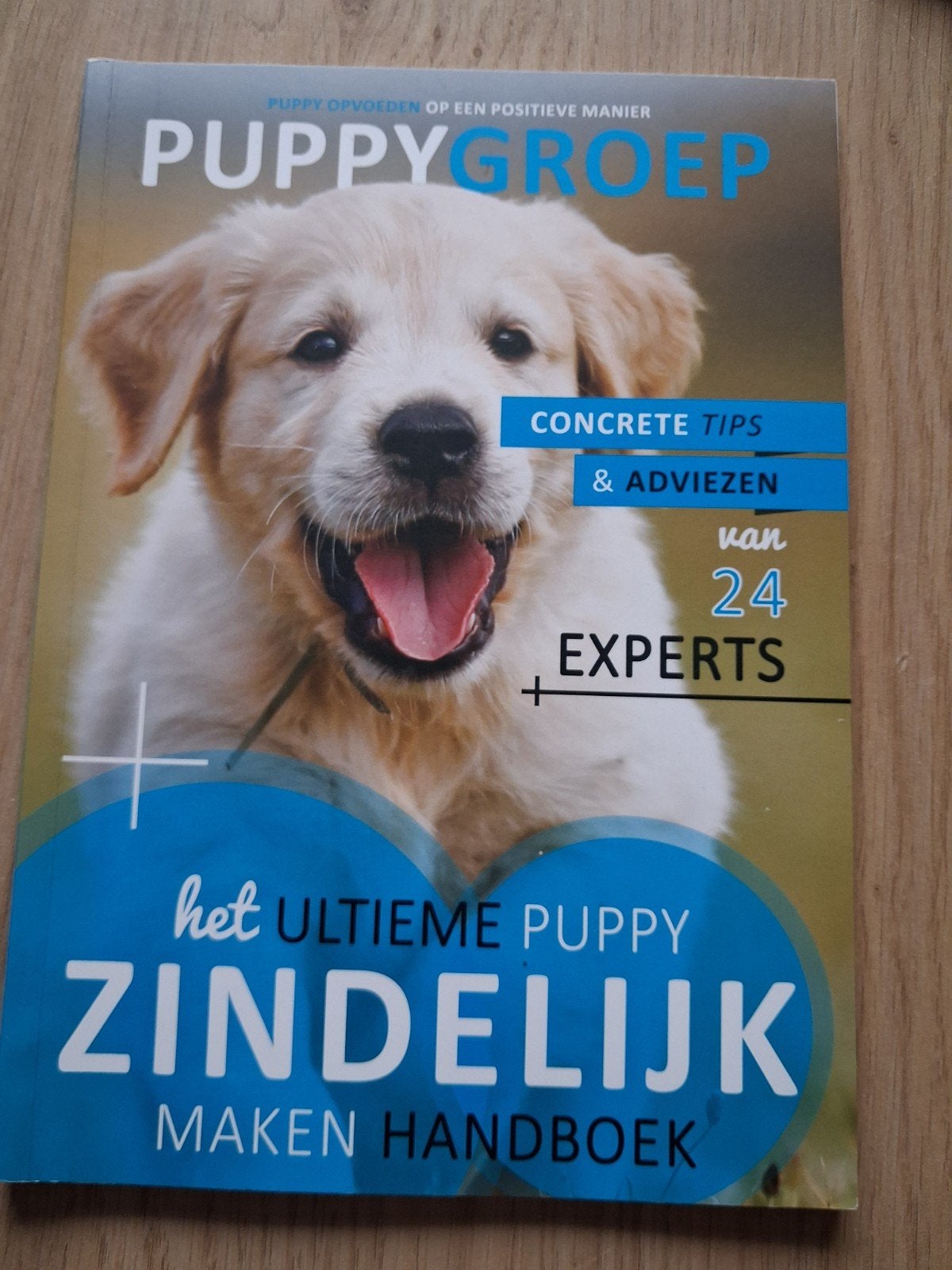 PuppyGroep: Het Ultieme Puppy Zindelijk Maken Handboek, Boeken, Ophalen of Verzenden, Zo goed als nieuw, Honden, Robbin Kleinpenning