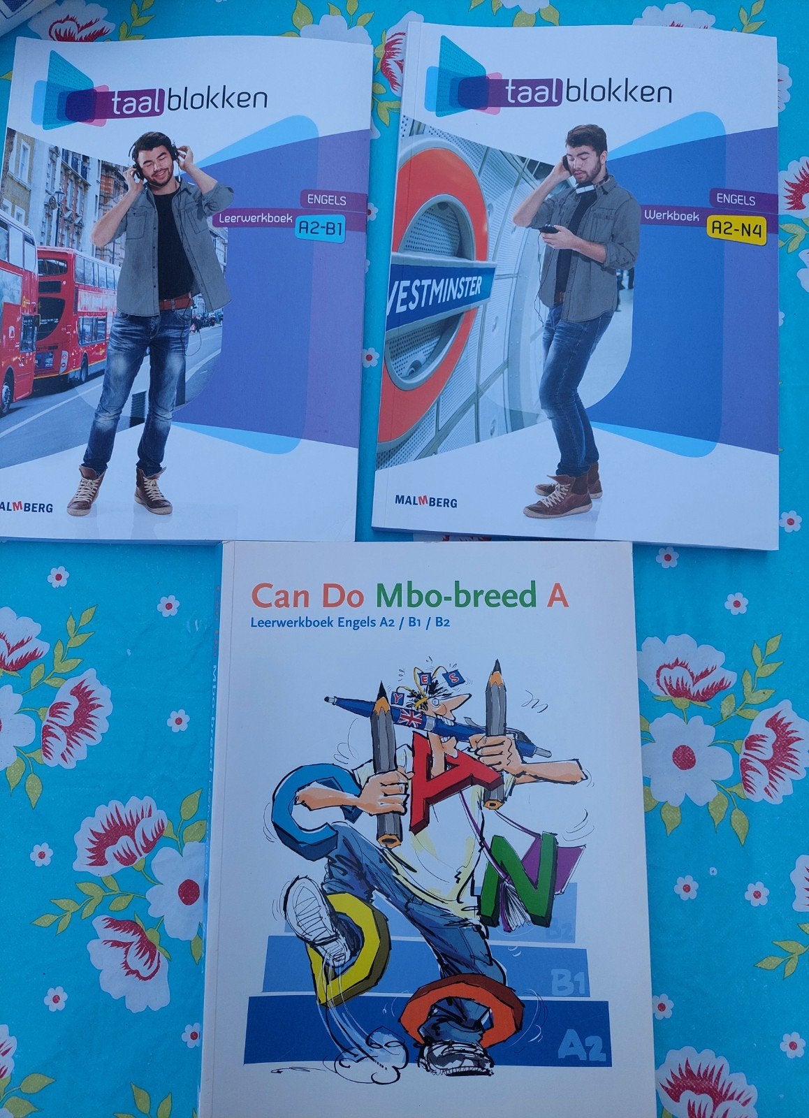 Taalblokken Engels MBO, Boeken, Ophalen of Verzenden, Beta, Zo goed als nieuw, MBO