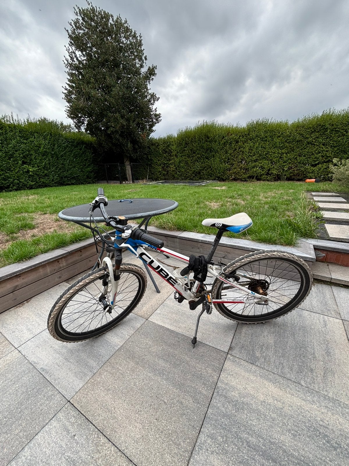 Moutain bike, Ophalen, Gebruikt, Velgrem, 26 inch of meer