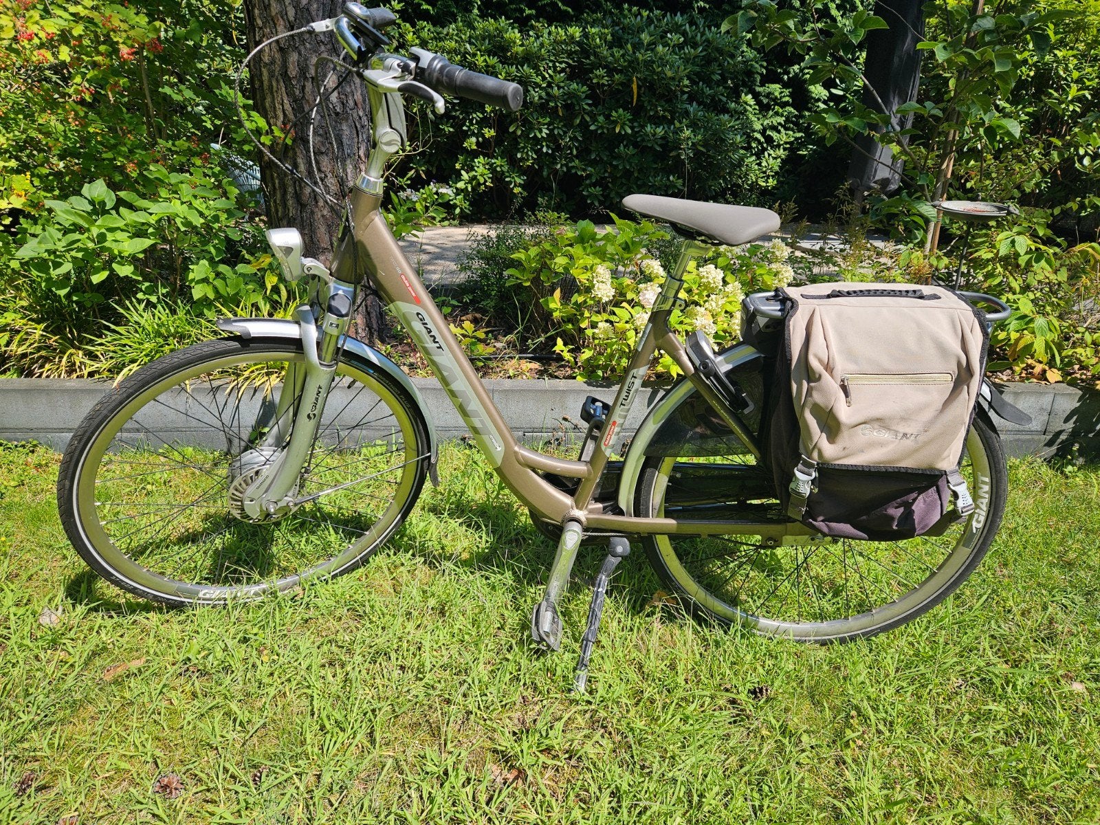 Giant Twist Go elektrische fiets incl 2 accu's, Fietsen en Brommers, 51 tot 55 cm, Ophalen, Gebruikt, Giant
