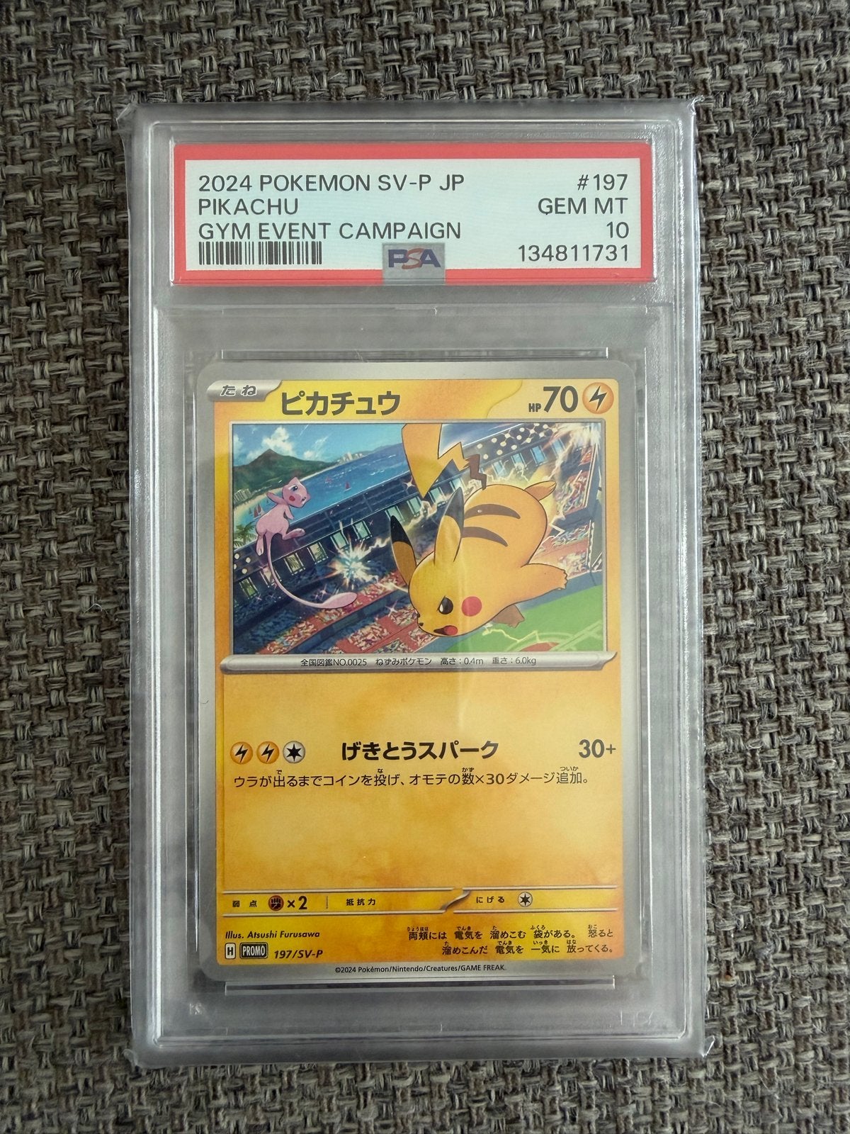 2024 Pikachu Gym Event Campaign PSA 10 GEM MT, Ophalen of Verzenden, Nieuw, Losse kaart