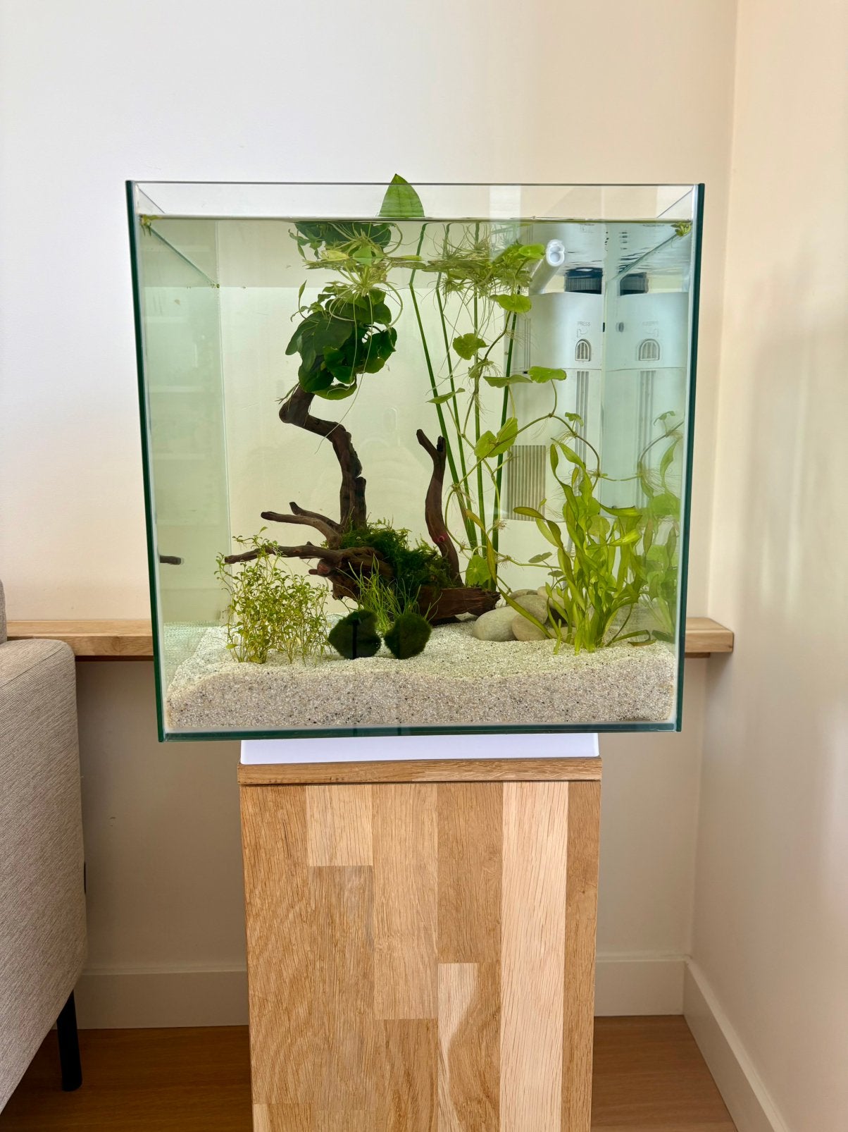 SuperFish Qubiq 60 Pro Aquarium, op maat gemaakte eiken kast, Ophalen, Zo goed als nieuw, Leeg aquarium, Superfish