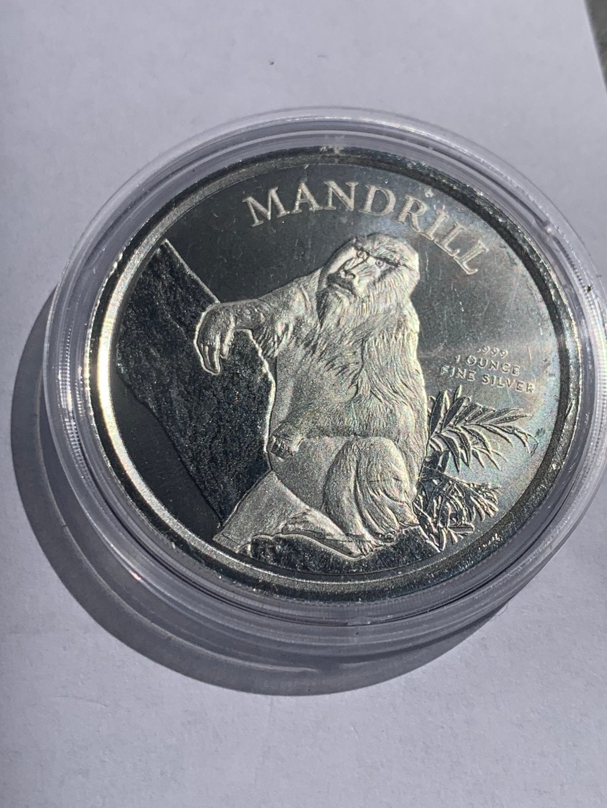Zilveren gorilla 1 oz 2021, Postzegels en Munten, Ophalen of Verzenden, Zilver