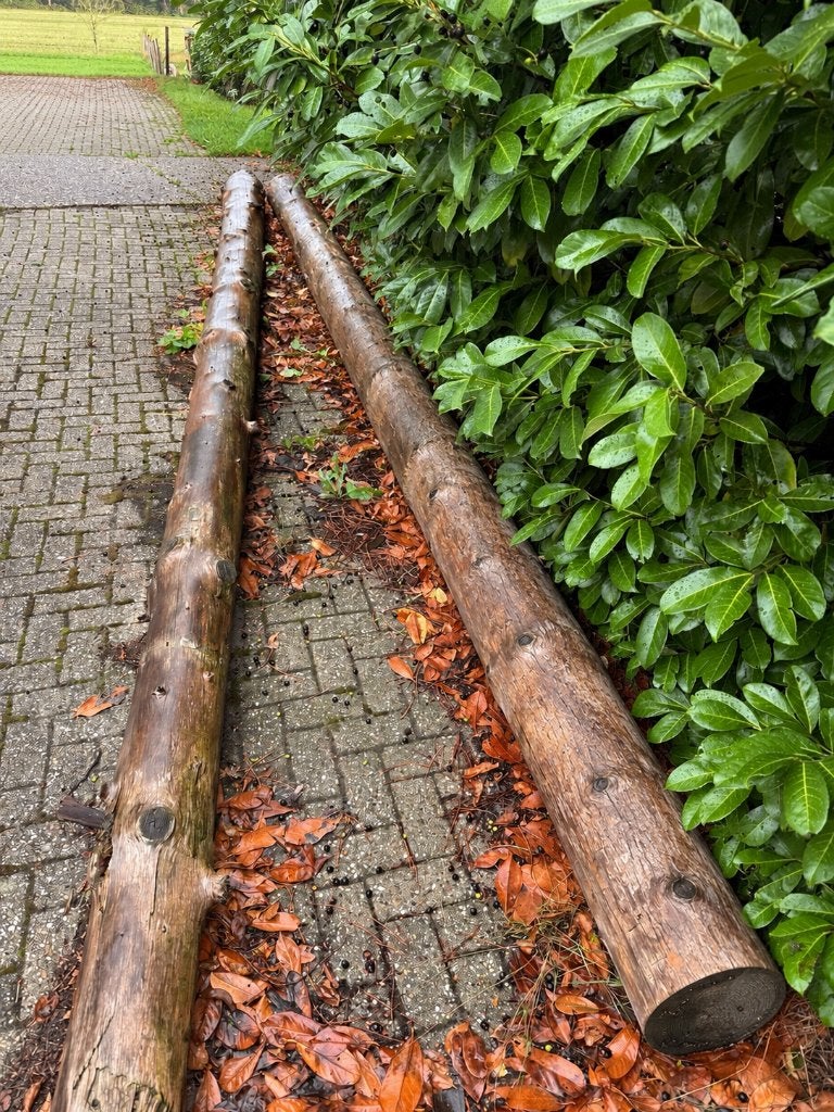 2 Douglas gebinten – 7 en 8 meter – ongebruikt, Ophalen, Nieuw, 250 cm of meer, Balken