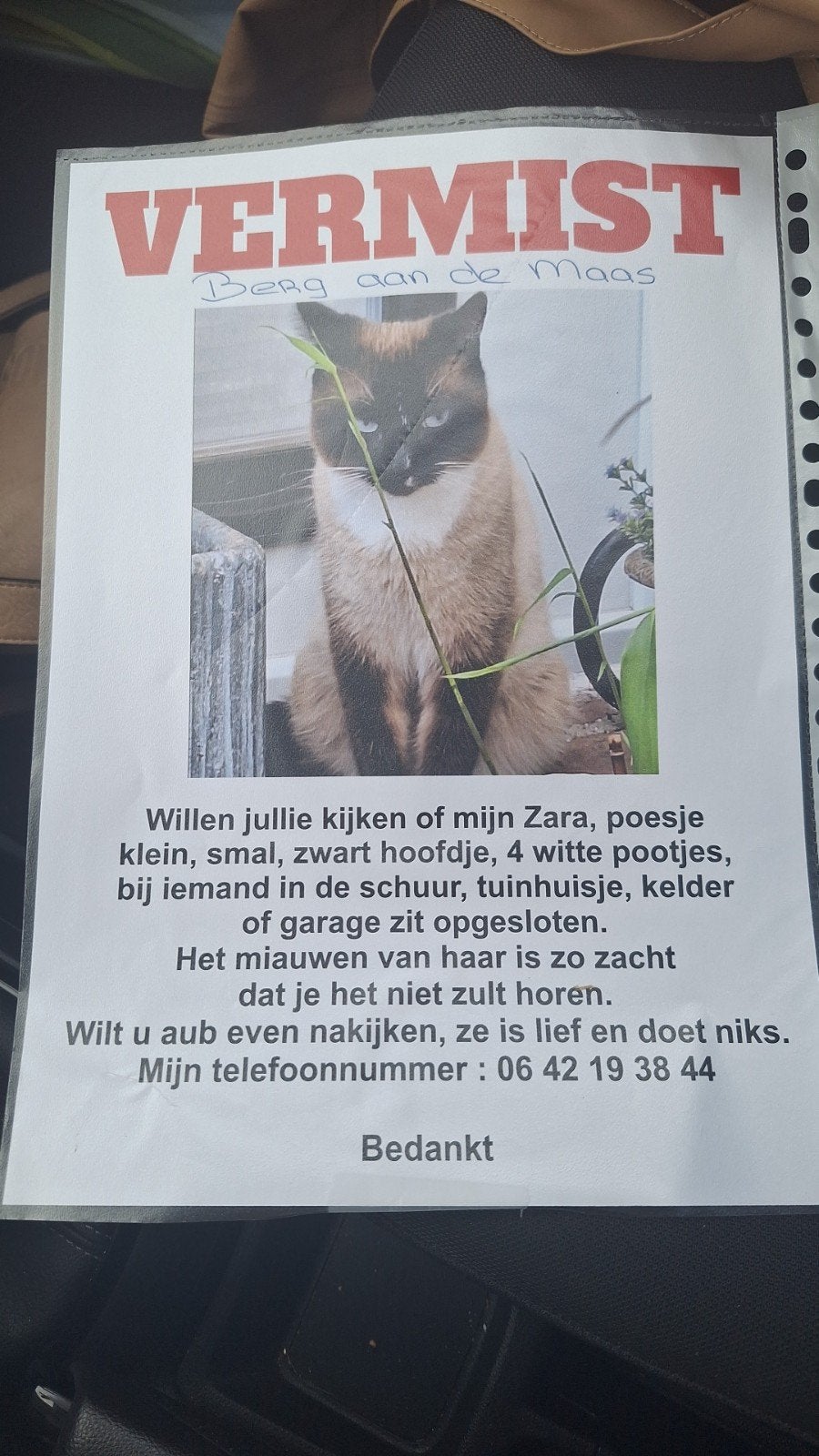 Mijn zara is vermist. Aub help me zoeken