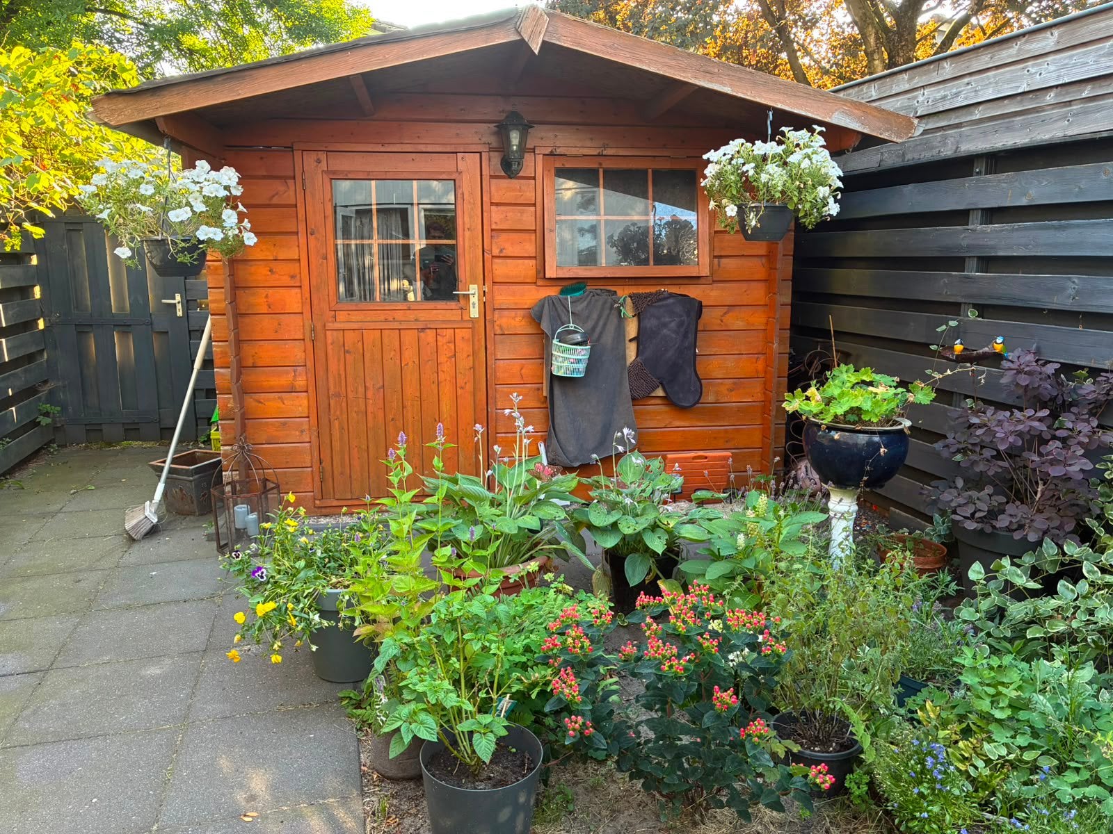 GERESERVEERD Tuinhuisje, Ophalen, Tuinhuis, 250 tot 500 cm, 1 raam