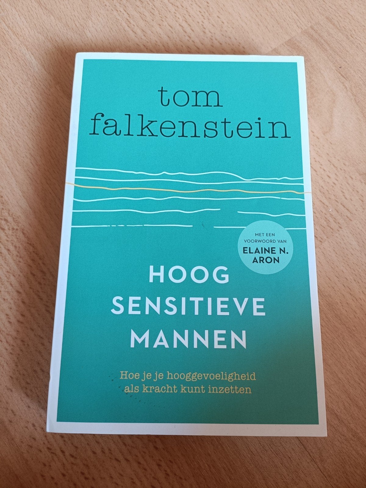 Tom Falkenstein - Hoogsensitieve mannen, Ophalen of Verzenden, Zo goed als nieuw, Tom Falkenstein