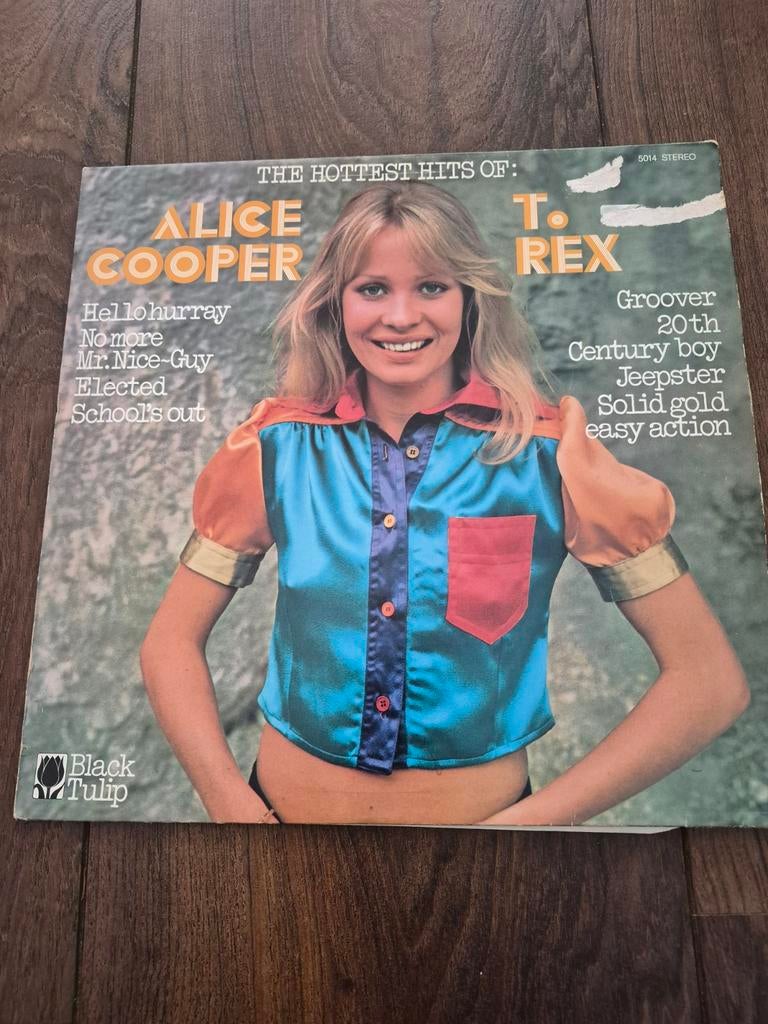 The Hottest Hits Of Alice Cooper & T. Rex LP Vinyl, Gebruikt, Ophalen of Verzenden, 1970 - 1979, Complilatie