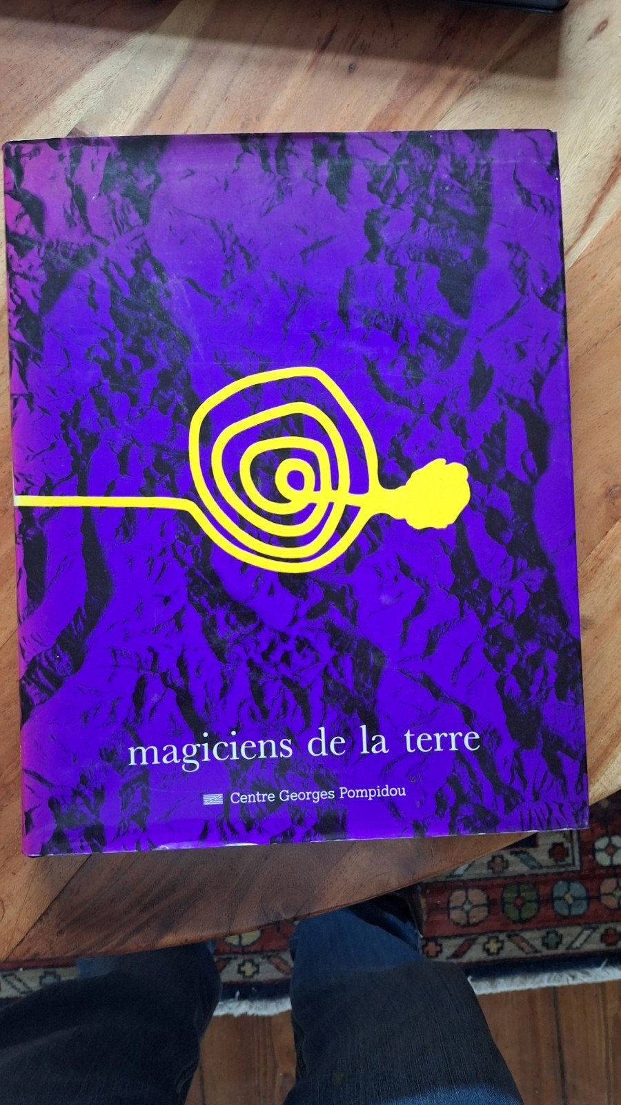 Magiciens de la Terre - Kunstcatalogus Centre Pompidou, Ophalen of Verzenden, Gelezen, Diverse kunstenaars, Europa overig