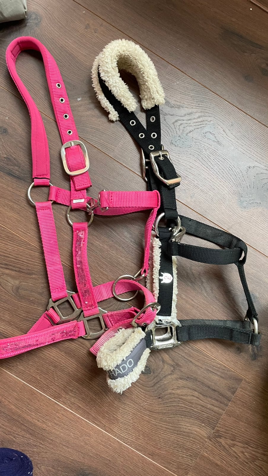 Partij paardensport  10x, Ophalen of Verzenden, Zo goed als nieuw, Halster, Cob
