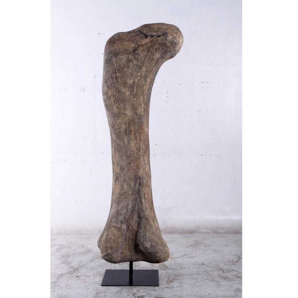 Dinosaurs Titanosaur Femur - Dinosaurus decoratie - 238 cm, Ophalen, Nieuw, Overige typen