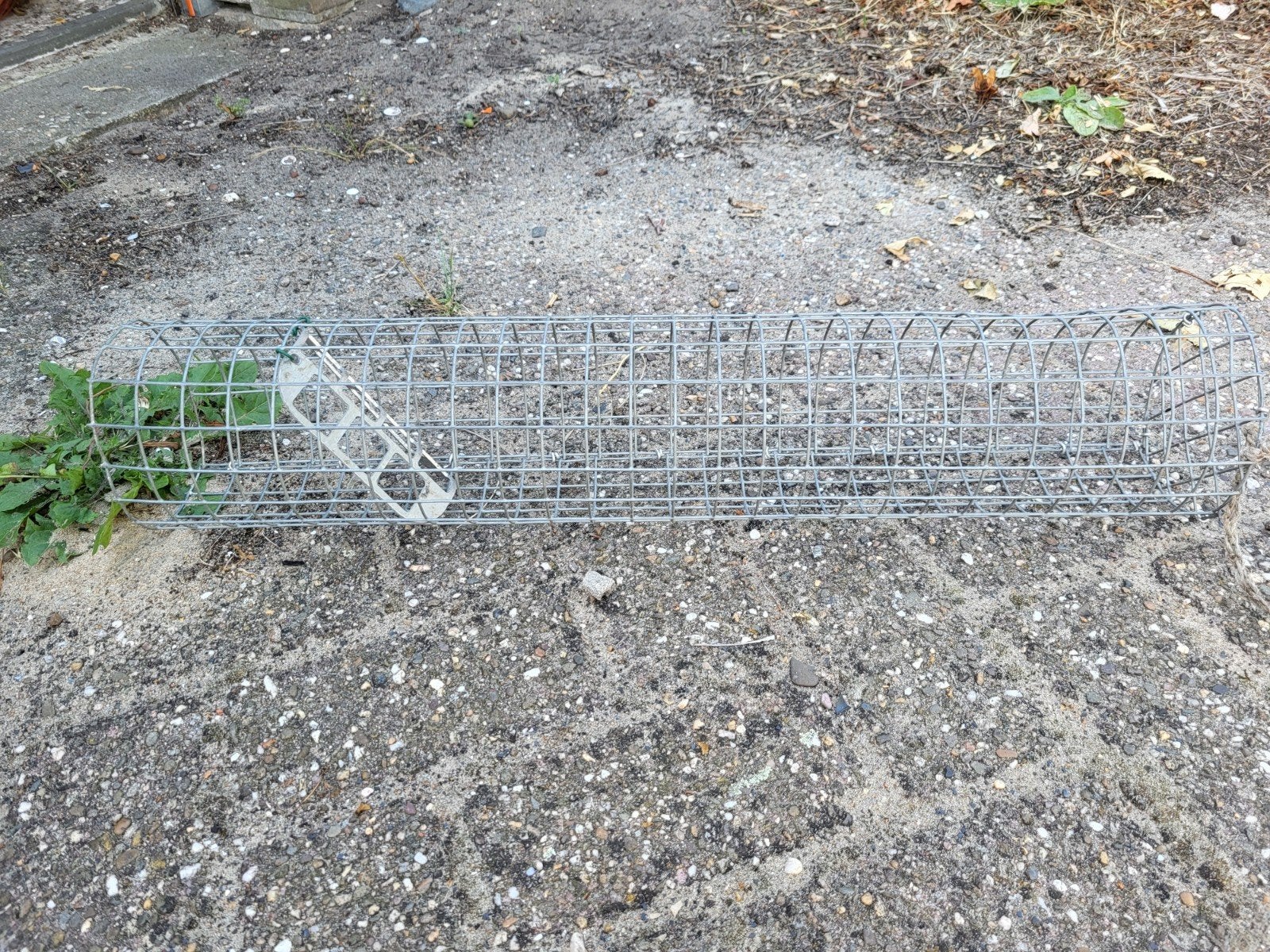 Konijnen vangkooi, Ophalen of Verzenden, Minder dan 75 cm, Kooi, Minder dan 60 cm