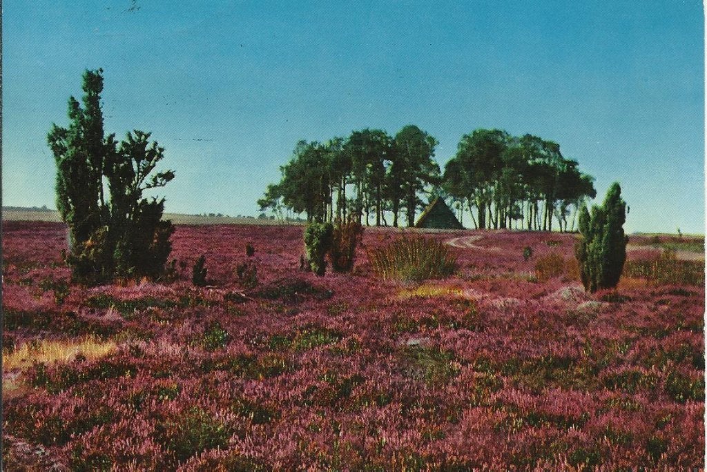 Hoog Soeren 1033a, Ophalen of Verzenden, Voor 1920, Gelderland