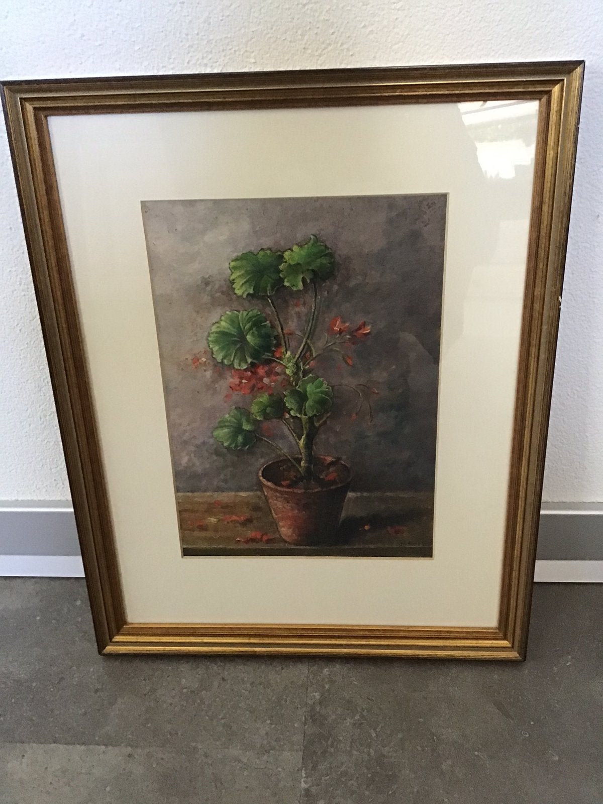 Ingelijste geranium, Ophalen of Verzenden