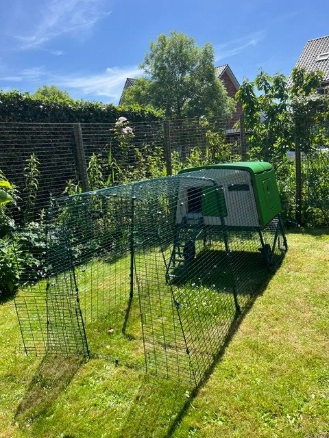 Omlet Cube kippenhok incl. 3 meter ren, Meerdere dieren, Kip