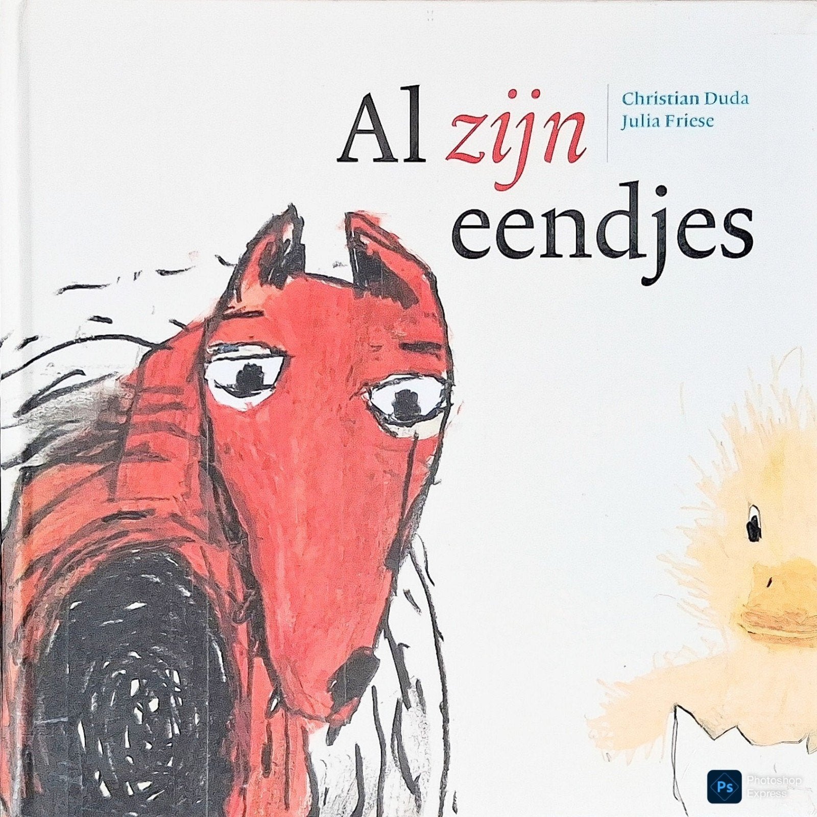 Al Zijn Eendjes, Gelezen, Fictie algemeen, Jongen of Meisje, Christian Duda/Julia Friese.