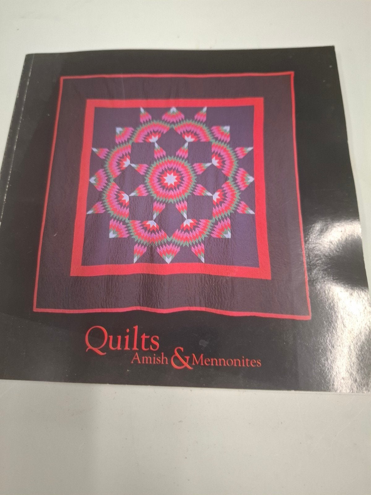 Boek Quilts Amish & Mennonites, Boeken, Hobby en Vrije tijd, Ophalen of Verzenden, Gelezen, Borduren en Naaien
