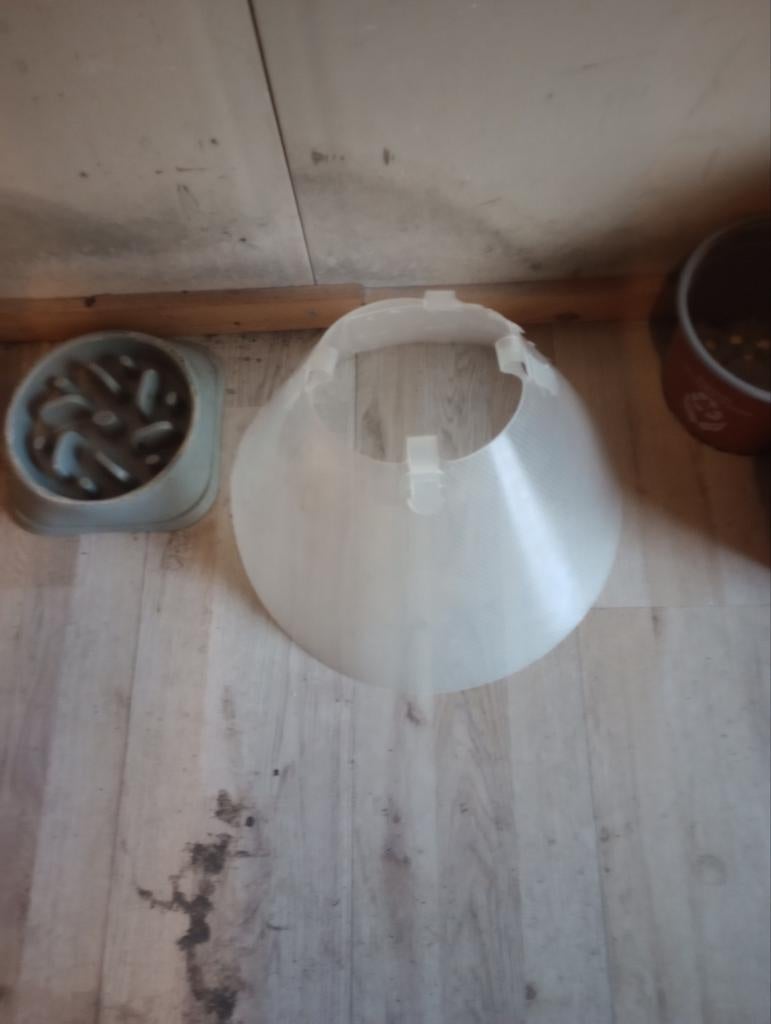 Honden Kap Middel Hond Engelse Stafford Formaat, Dieren en Toebehoren, Ophalen of Verzenden