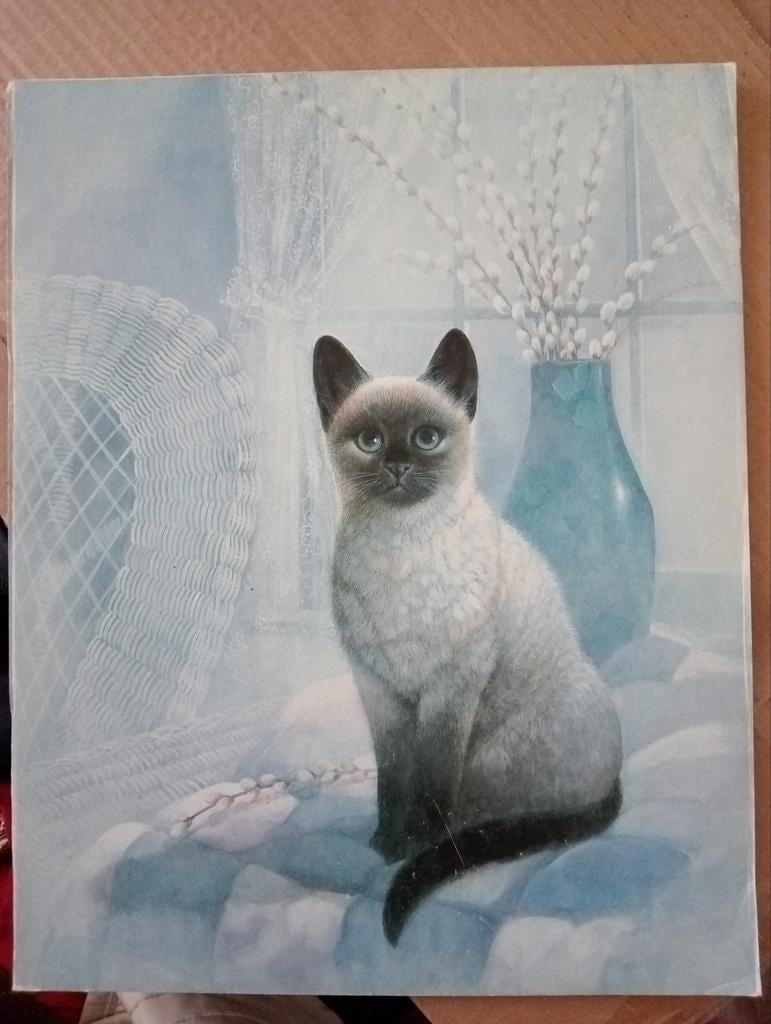 Print Kat Poes  Siamees, Minder dan 50 cm, ., Ophalen of Verzenden, Print