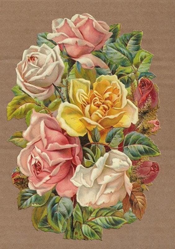 Kleurrijk Rozenboeket poezieplaatjes 5179, Verzamelen, Ophalen of Verzenden