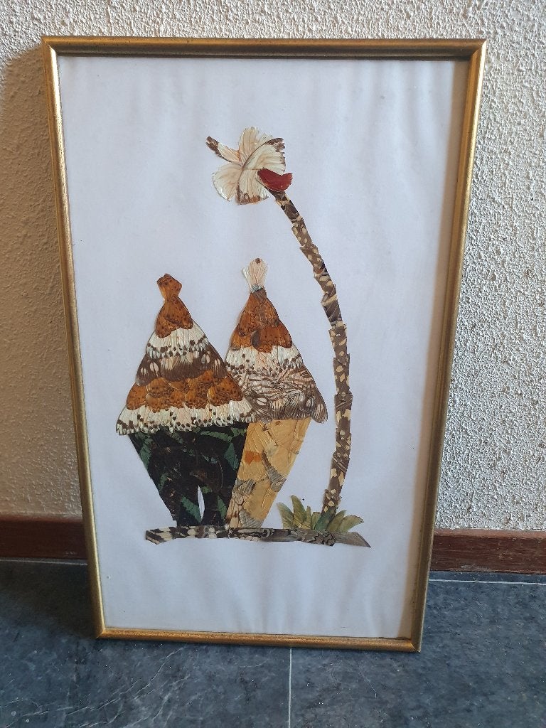 Vintage Afrikaans kunstwerk van vlindervleugels – ingelijst, Antiek en Kunst, Natuurlijk materiaal, Afrika, Ophalen of Verzenden