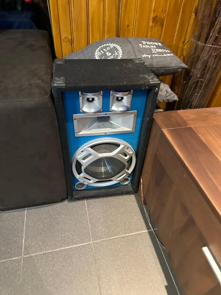 Party Speaker met versterker, Audio, Tv en Foto, Luidsprekers, Overige merken, Overige typen, Ophalen of Verzenden, Zo goed als nieuw