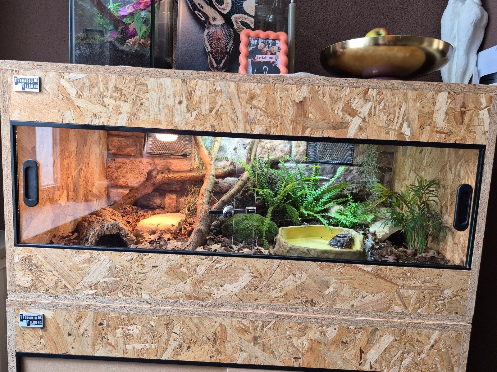 OSB3 terrarium 100x50x50, Dieren en Toebehoren, Ophalen, Zo goed als nieuw, Terrarium of Paludarium