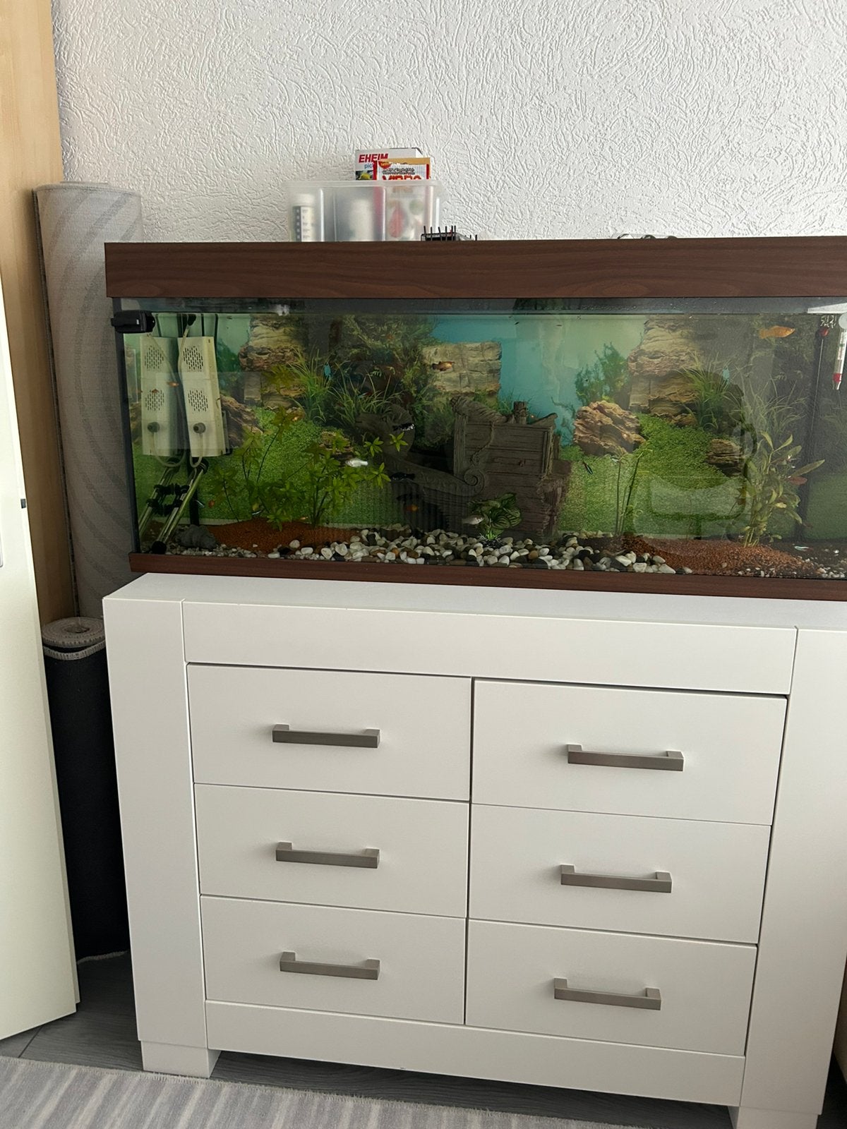 Vıssen met aguaria te koop, Ophalen