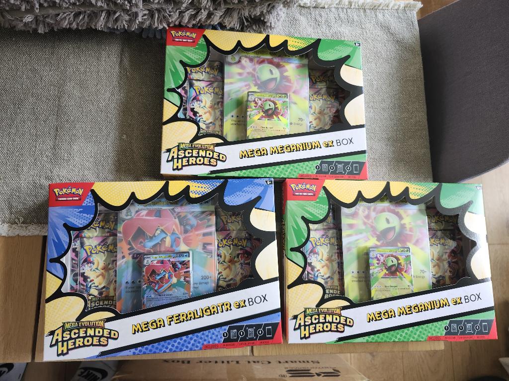 Ascended Heroes Ex Box, Verzenden, Nieuw, Overige typen, Foil
