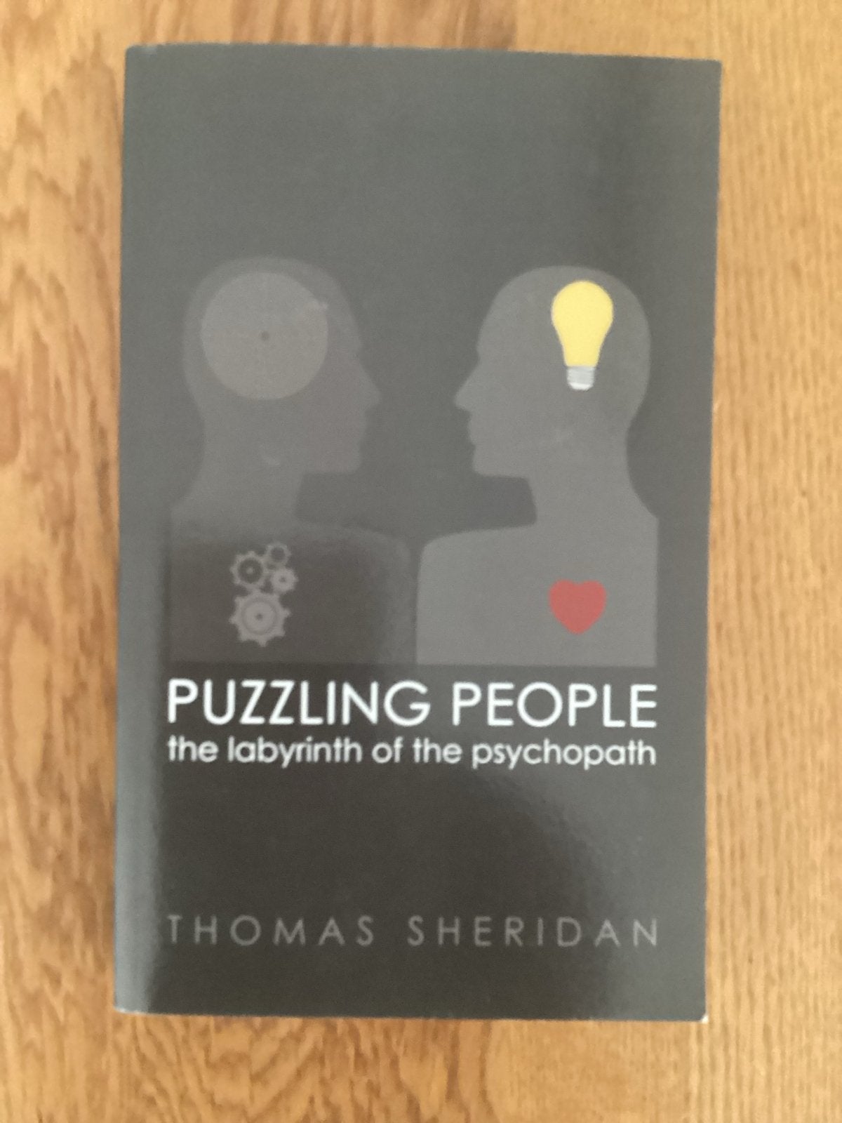 Puzzling People: The Labyrinth of the Psychopath, Boeken, Ophalen of Verzenden, Zo goed als nieuw, Klinische psychologie