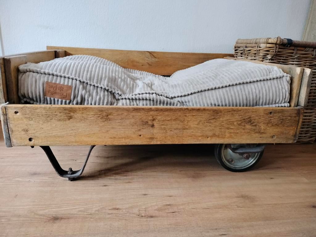 Echte Eyecatcher unieke Hondenmand, Ophalen, Overige