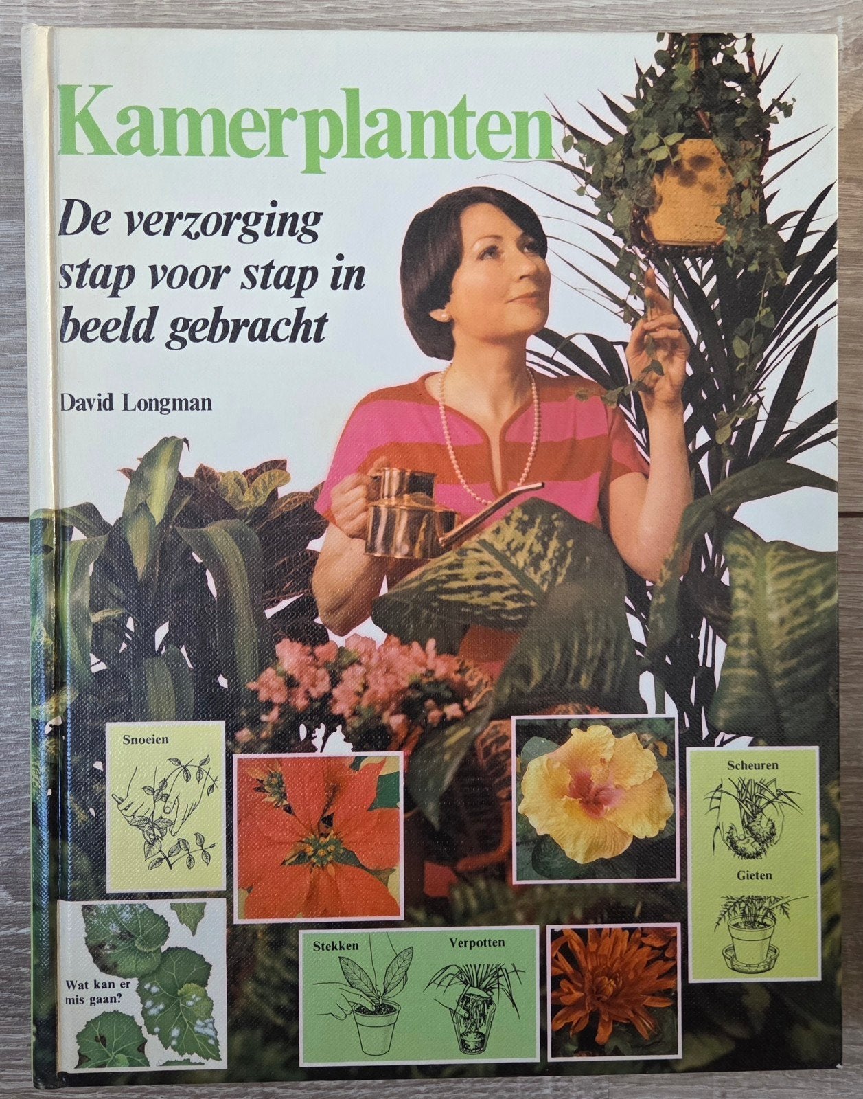 David Longman - Kamerplanten, David Longman, Ophalen of Verzenden, Zo goed als nieuw, Kamerplanten