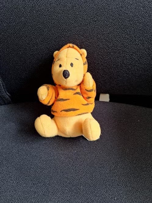 Kleine Winnie de Pooh knuffel h, Oranje, Overige merken, Overige karakters, Beer