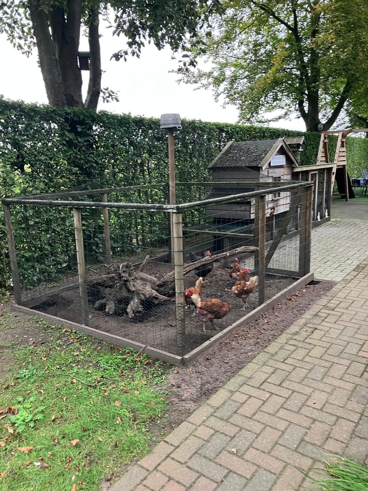 Kippenhok en ren, inclusief voeder- en drinkbakken., Ophalen, Kippenhok of Kippenren