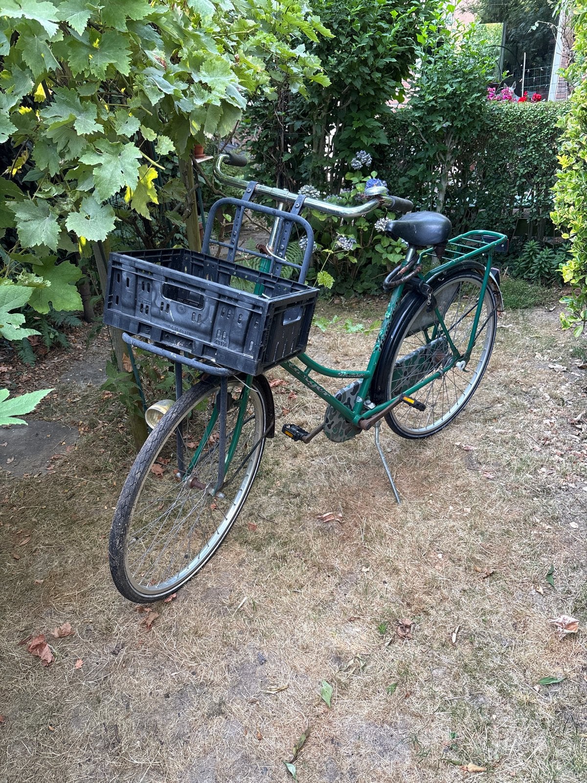 Groene omafiets met krat - Gebruikt, Terugtraprem, Ophalen, Overige merken, 53 tot 56 cm