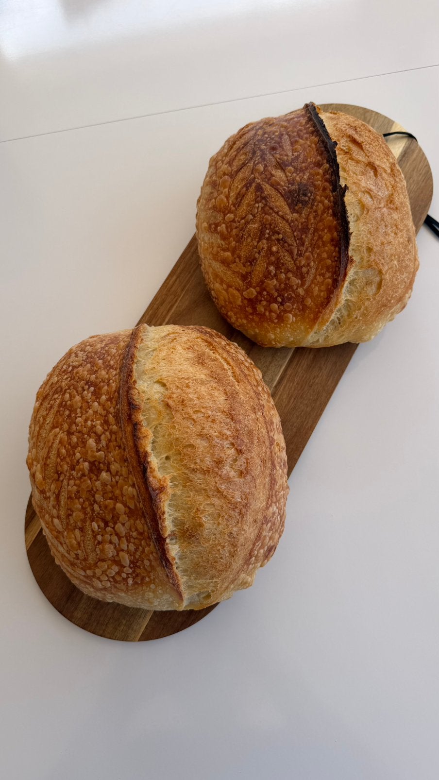 Zuurdeeg Starter, Diversen, Ophalen