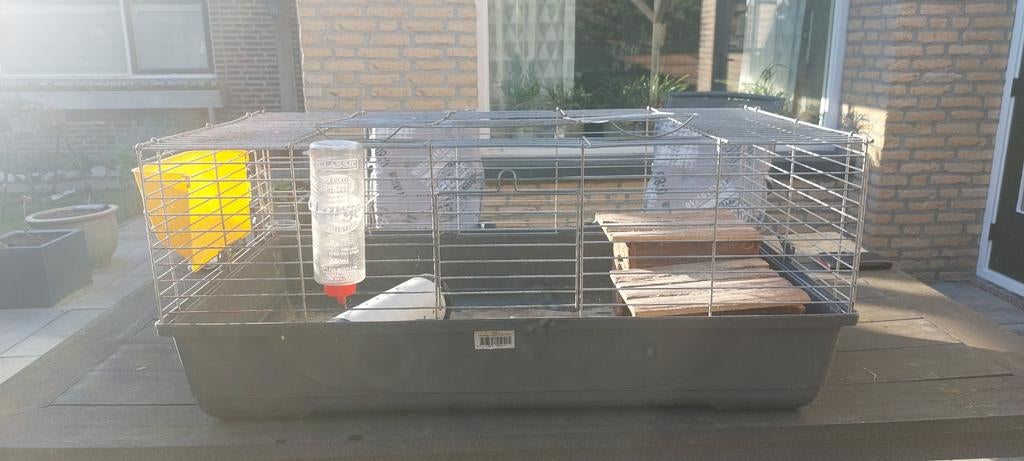 Cavia kooi, Kooi, Gebruikt, 75 tot 110 cm, Cavia
