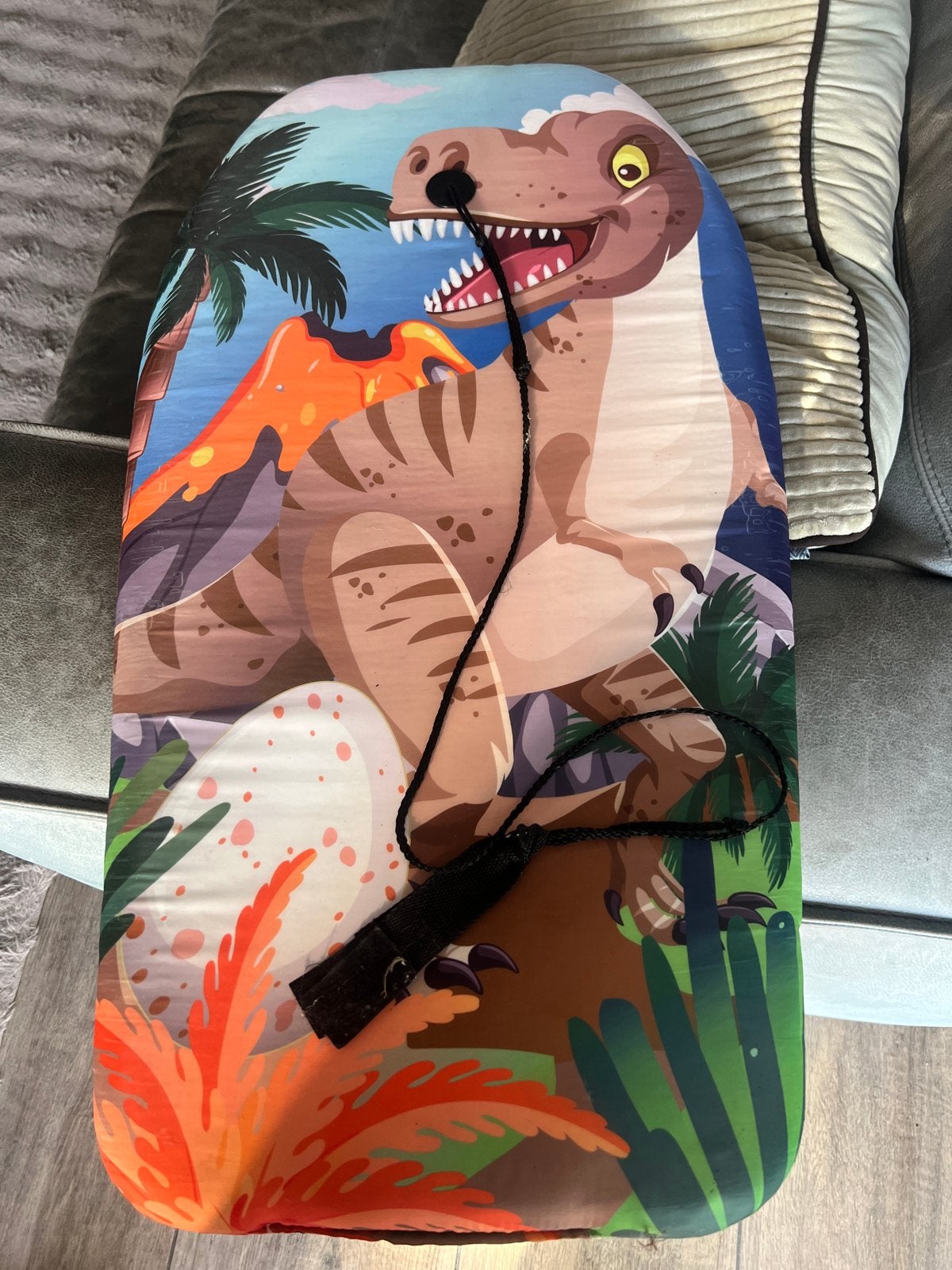 Bodyboard voor kinderen met dinosaurusprint, Kinderen en Baby's, Ophalen, Zo goed als nieuw