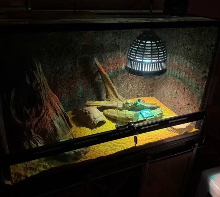Compleet luipaard gekko terrarium