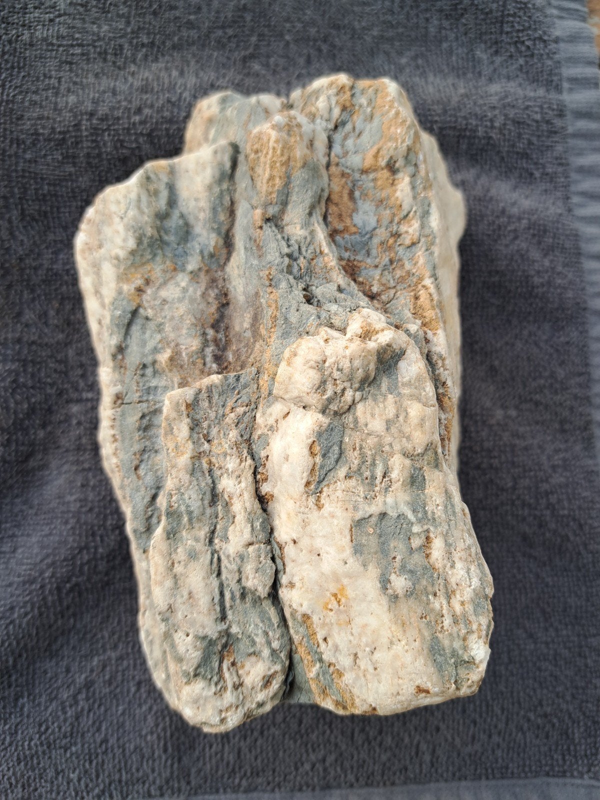 Mooi stuk versteend hout, Verzenden, Fossiel
