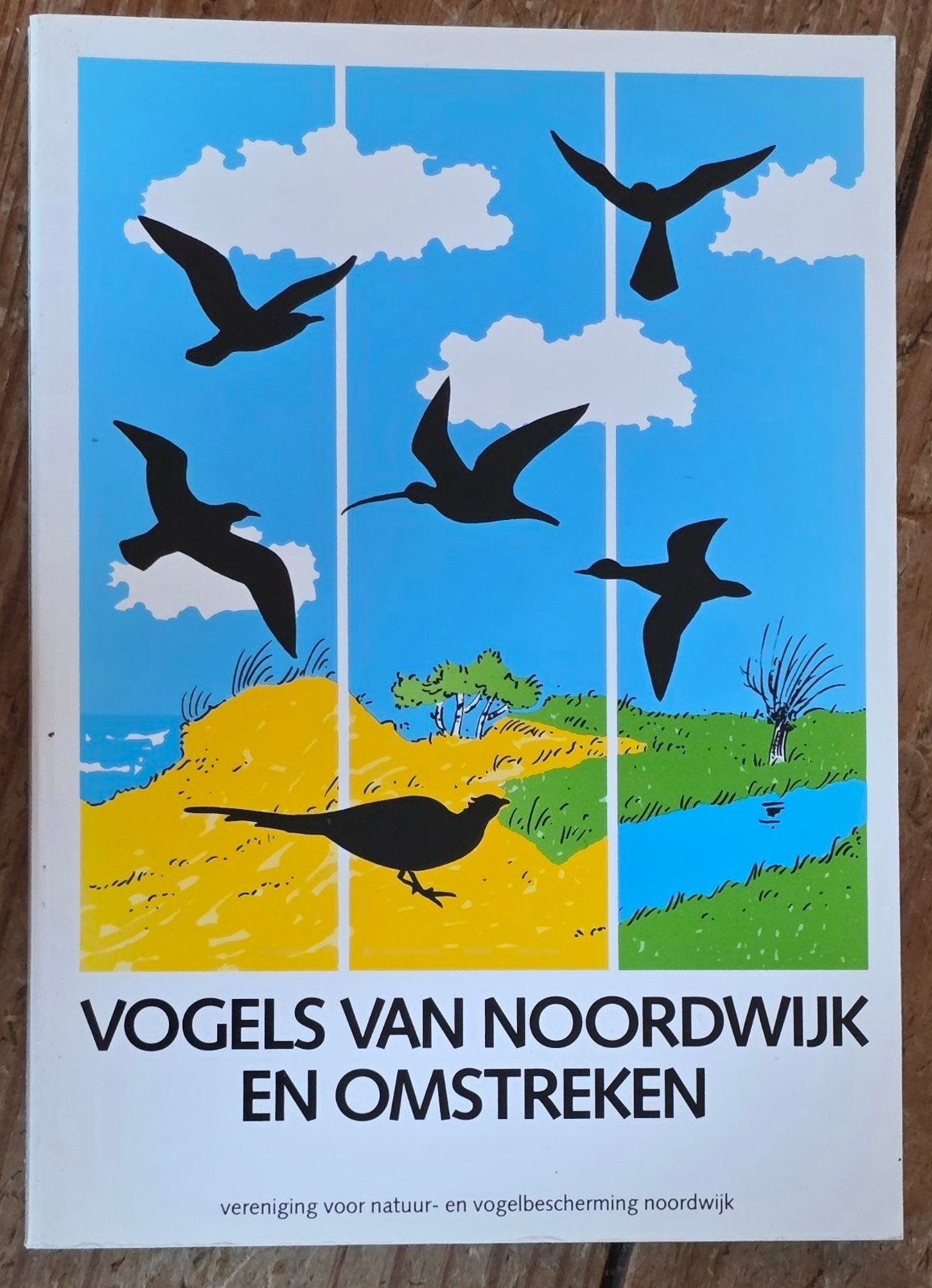 Topconditie! Vogels van Noordwijk en Omstreken - Natuurgids, Ophalen of Verzenden, Vogels